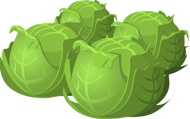Ušetřete energii na kole: Tipy pro cyklisty
