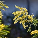 Ušetřete 10% na všem: Jednoduchý průvodce