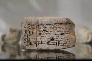 Elektrický kotel Protherm: Výkon a spotřeba v praxi!