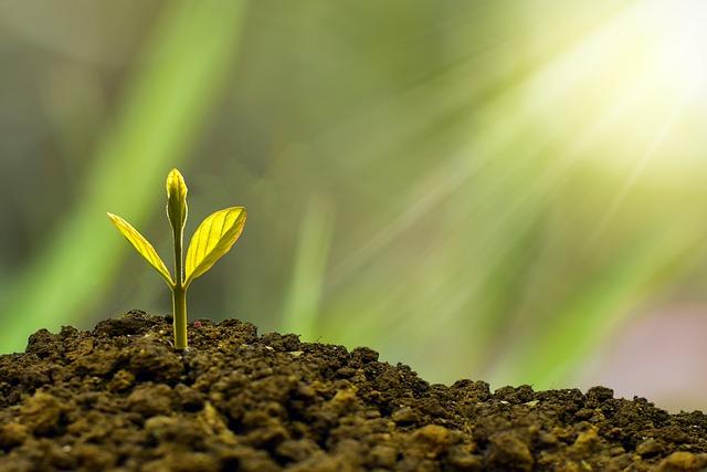 Investice do budoucnosti: Jak spořit dlouhodobě