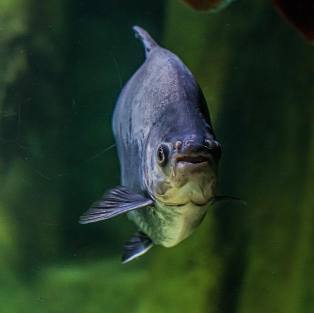 Rizika spojená s nesprávným jištěním při nabíjení