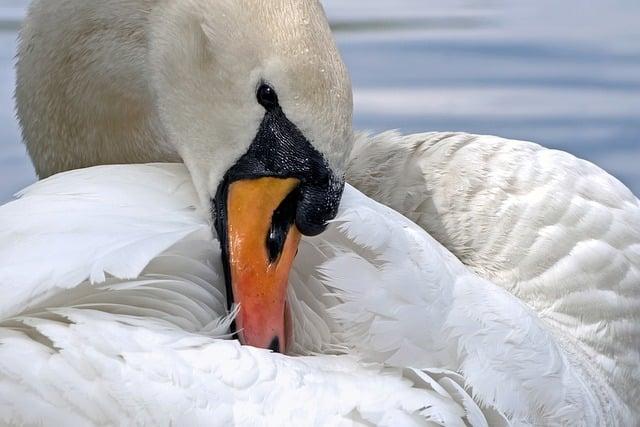 Jak rozpoznat potřebu ⁤čištění ⁤tepelného ‍čerpadla​ sušičky?