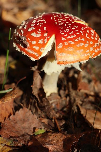 Rizika spojená s nesprávným umístěním kotle
